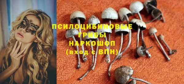 jwh Каменногорск