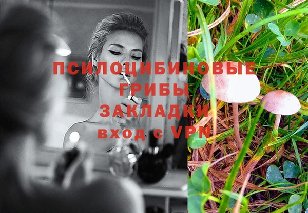 COCAINE Каменка