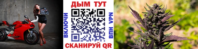 Купить  Большой Камень  Шишки марихуана White Widow 